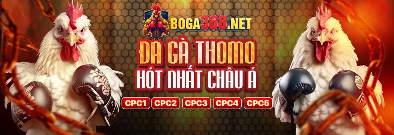Đá gà trực tuyến đỉnh cao tại vt999 app